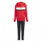 J 3S TIB FL TS - PURE RUBY