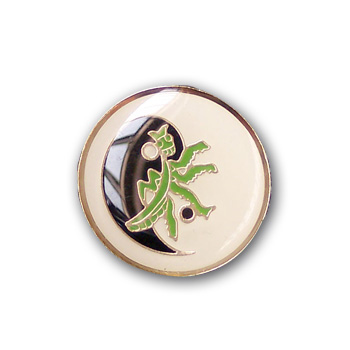 DISTINTIVO TAI CHI